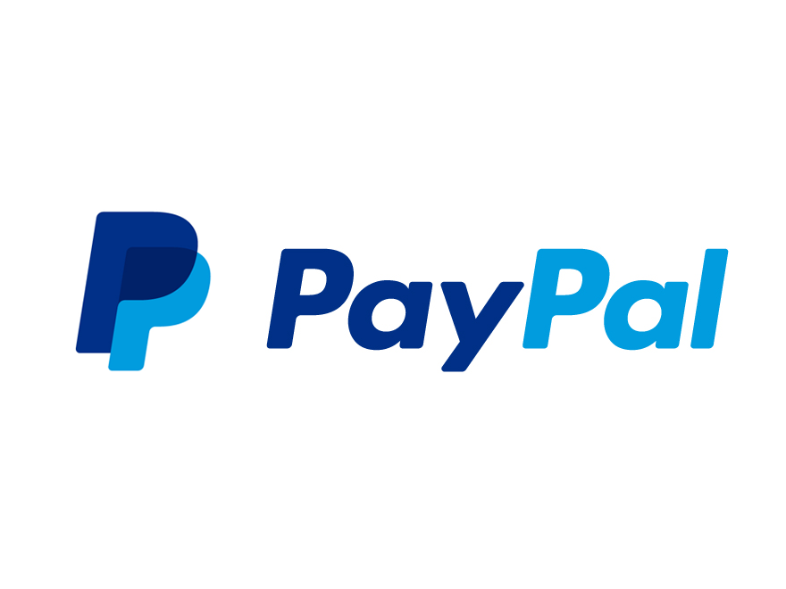 large paypal logo